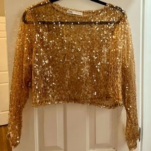 Zara Iridescent Sequin Crop Top